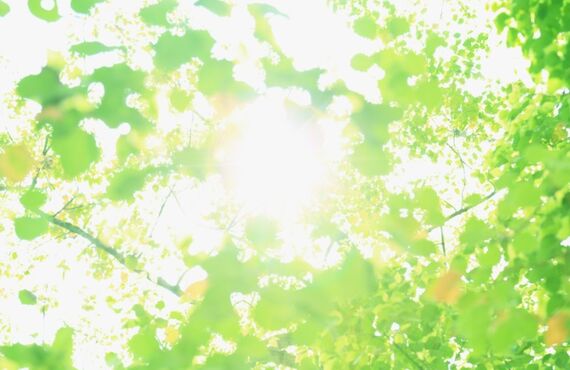 昭島市にある、こだわりのシャンプーを使っている美容室